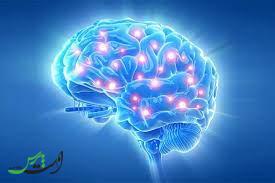 عرفان و تحولات فیزیکی مغز